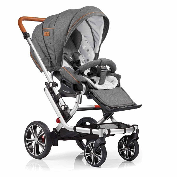  Gesslein F6 Air Plus Dessin 053053 Gestell Silber Eloxiert Inkl. Regenschutz